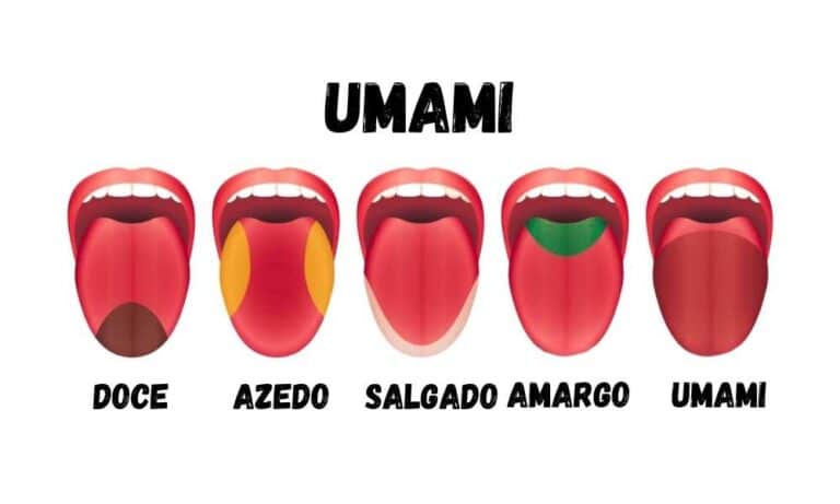 Imagem de uma língua humana destacando as regiões que percebem os cinco sabores básicos: doce, salgado, azedo, amargo e umami. Cada área é marcada com uma cor diferente, mostrando onde cada sabor é mais intensamente percebido. O umami, o quinto sabor, é destacado em uma região específica para ilustrar sua diferença em relação aos outros sabores.