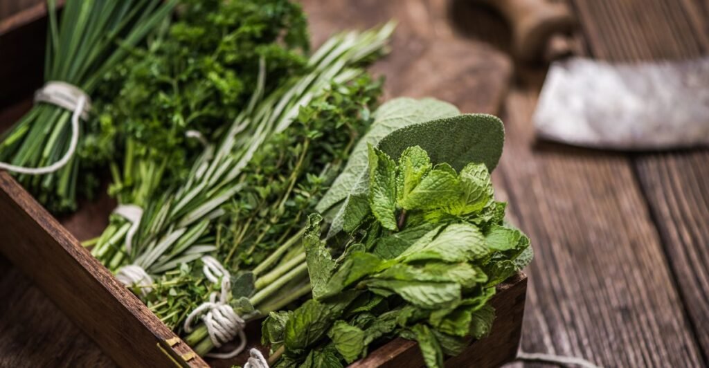 varias ervas aromáticas que fazem parte da lista de temperos como alecrim, hortelã, tomilho, salvia, orégano.