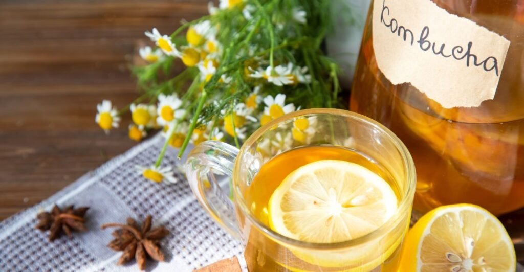 Copo de kombucha com bolhas e rodelas de limão.