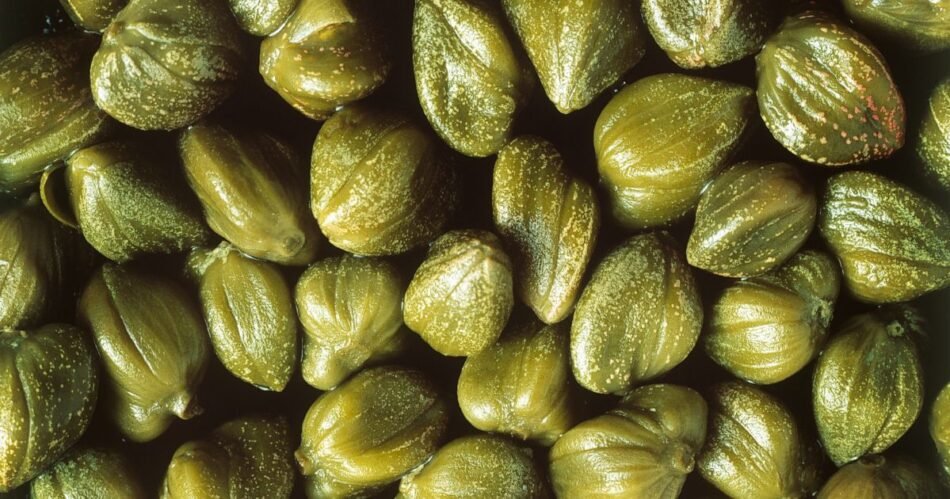 alcaparras em conserva, pequenas e verdes, prontas para serem usadas em diversas receitas culinárias.