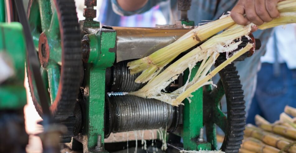 Moenda manual extraindo caldo de cana em feira gastronômica.