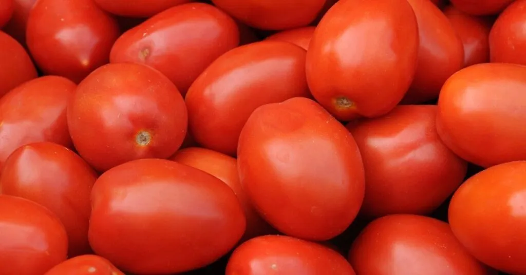Jitomate fresco – ingrediente essencial entre as comidas com J da culinária mexicana.